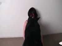 Australian Amateur MILF Fucks Dog